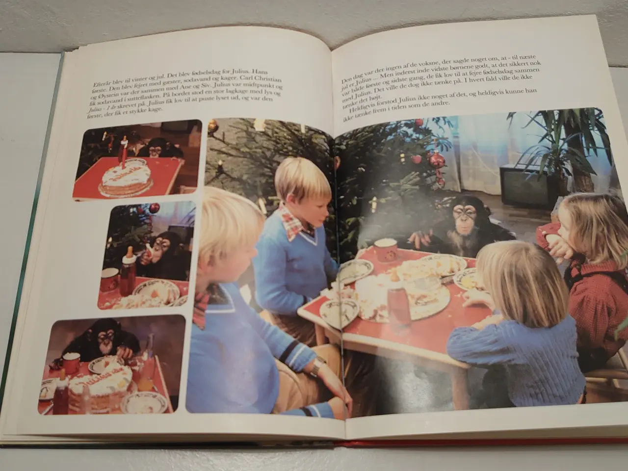 Billede 4 - Trygve Bj.Klingsheim: Julius. 1983.