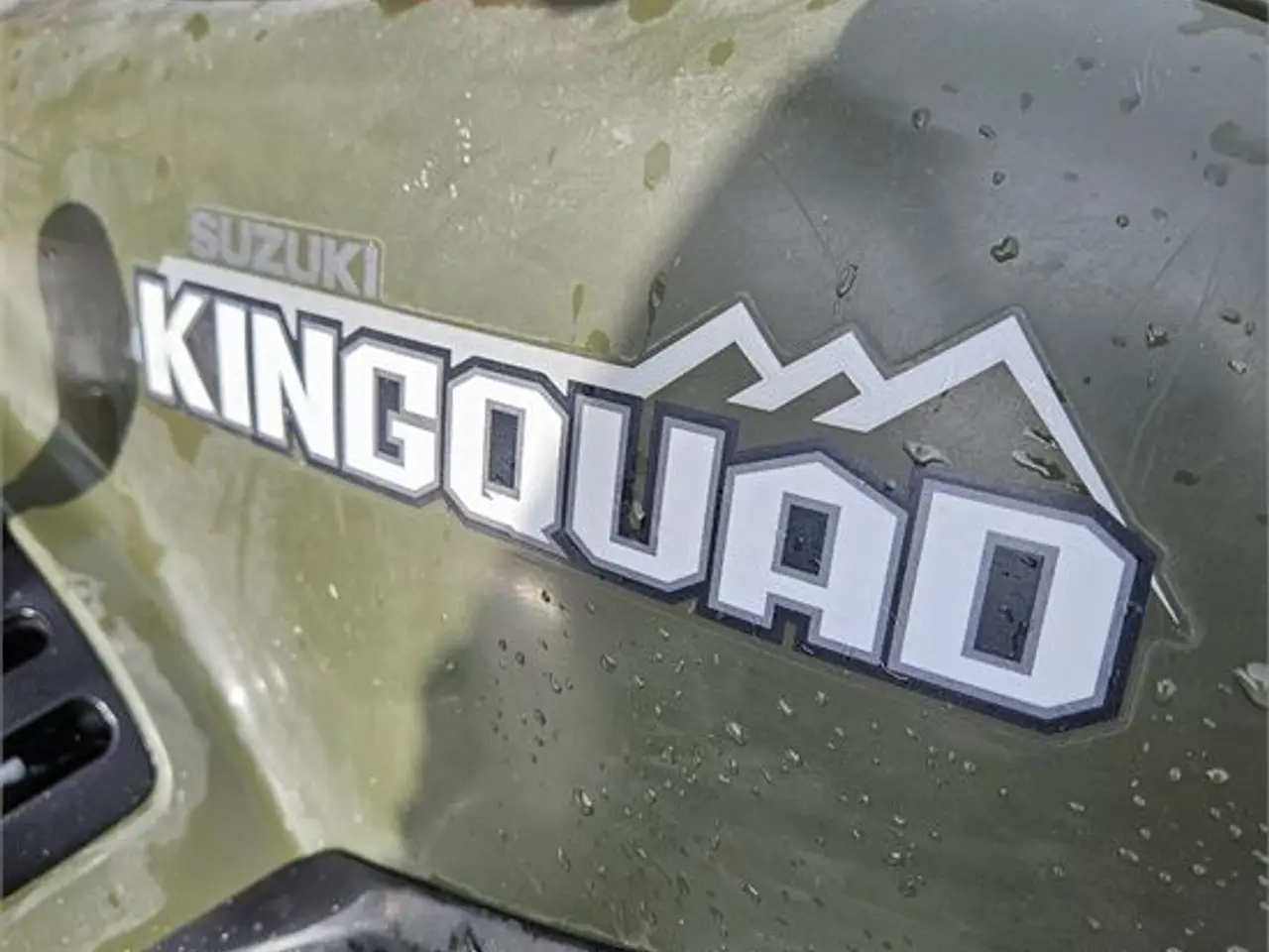 Billede 16 - Suzuki Kingquad 4x4 750 AXi
