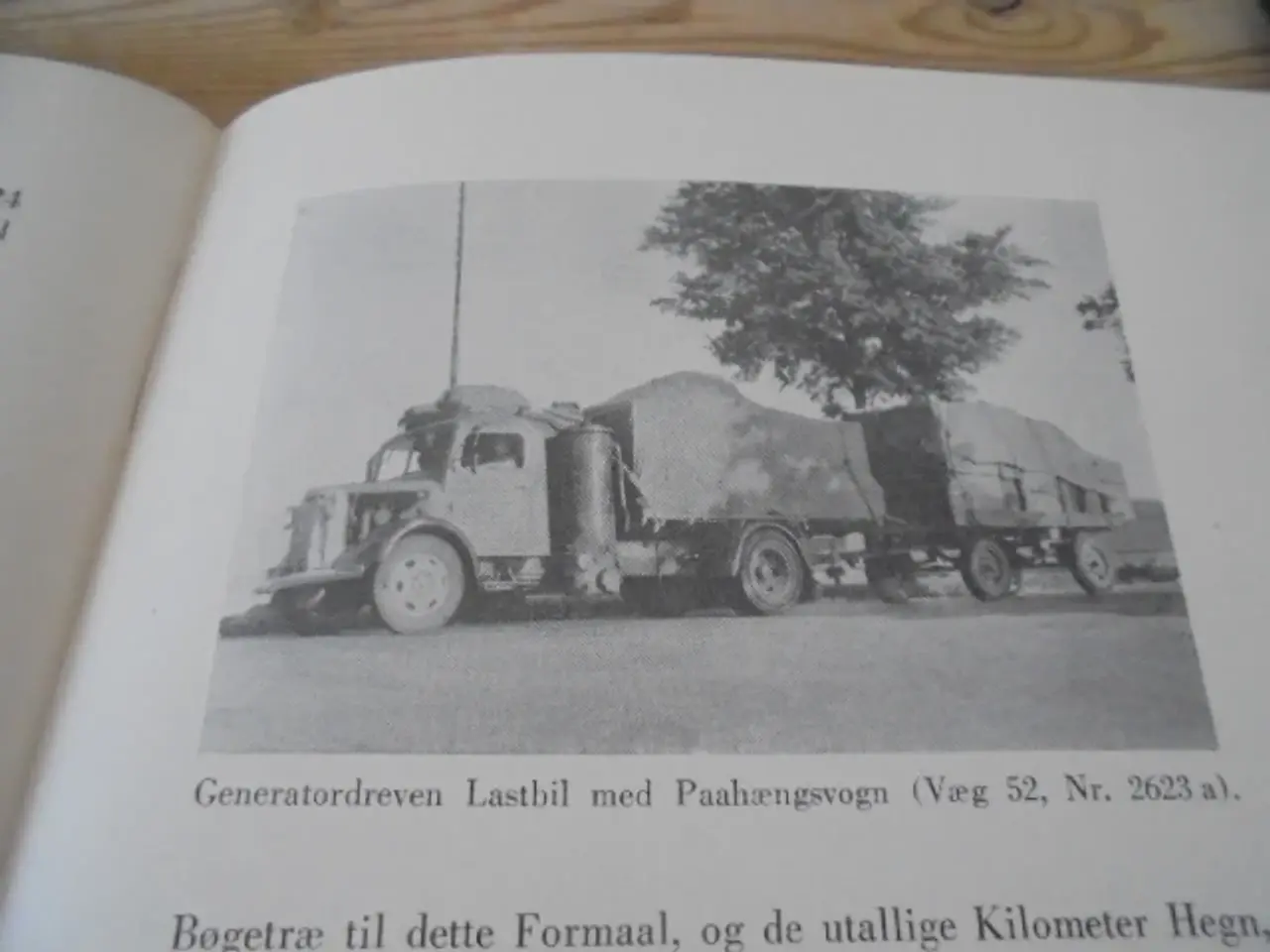 Billede 6 - Skov og Skovbrug i Jagt- og skovbrugsmuset, Hørsho