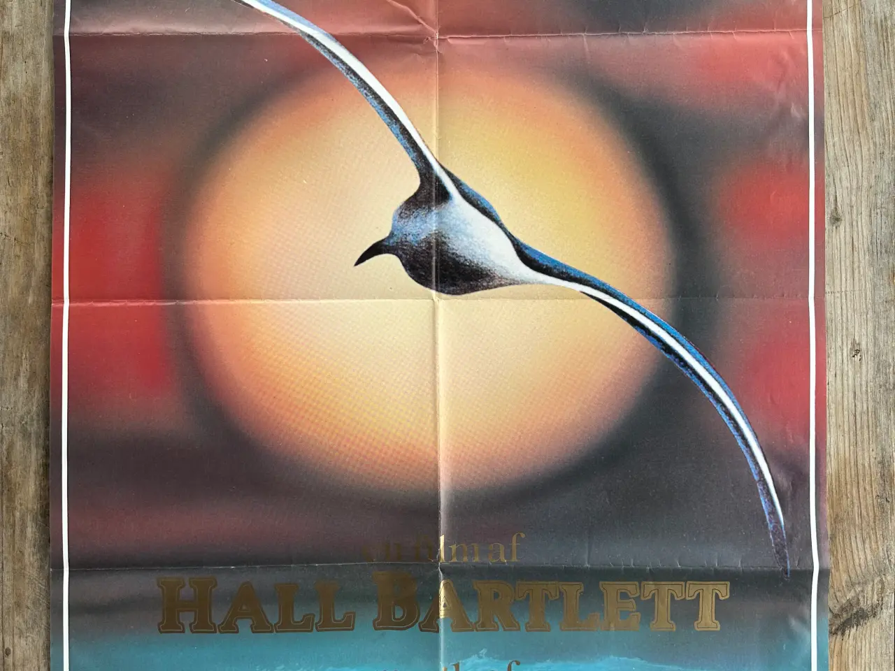 Billede 1 - Filmplakat, Jonathan Livingston Havmåge