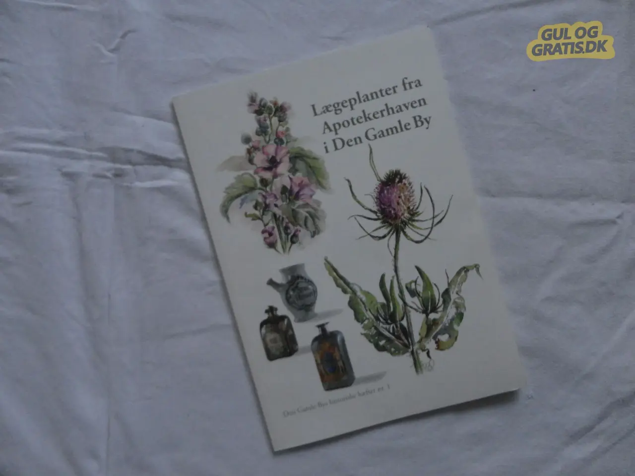 Billede 1 - Lægeplanter fra Apotekerhaven i Den Gamle By :