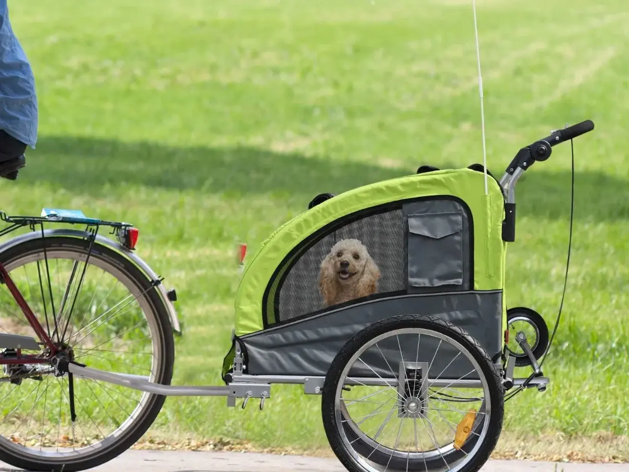Billede 8 - Cykelanhænger / Jogger Hund