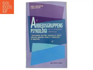 Arbejdsgruppens psykologi (Bog)