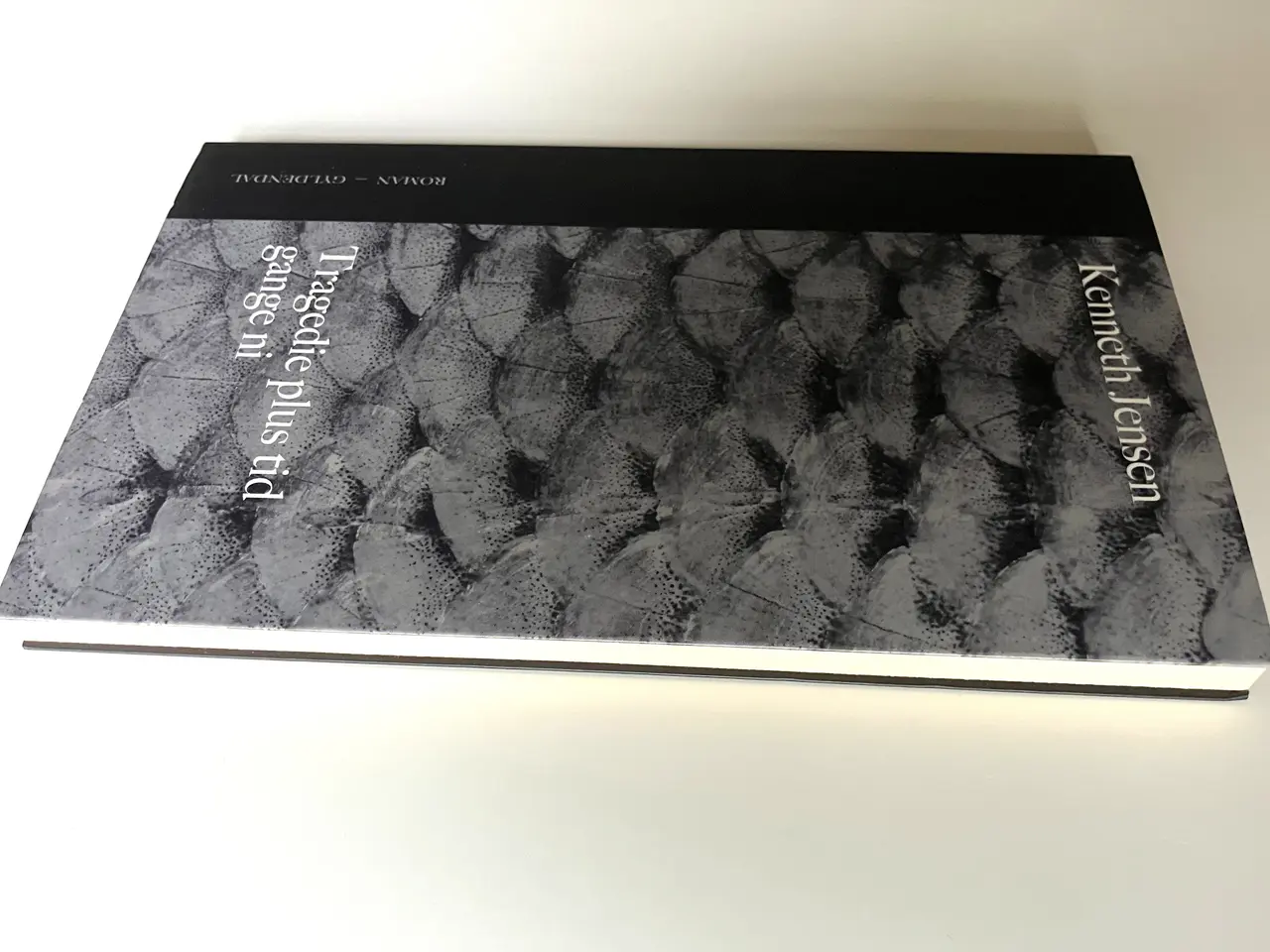 Billede 5 - Tragedie plus tid gange ni. Af Kenneth Jensen 