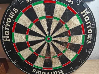 Dart skive