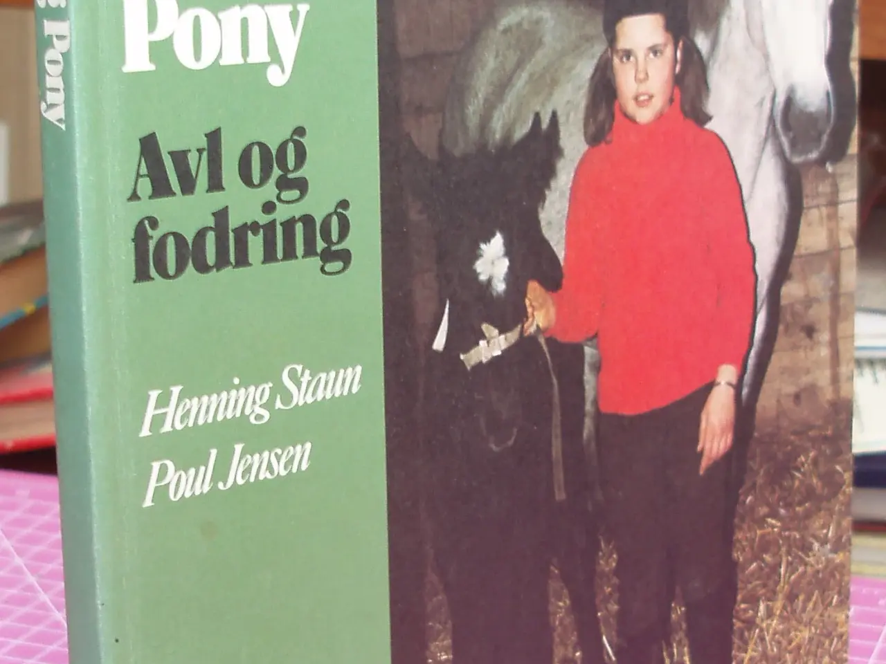 Billede 1 - Sportshest og Pony, Avl og fodring