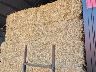 Halm sælges