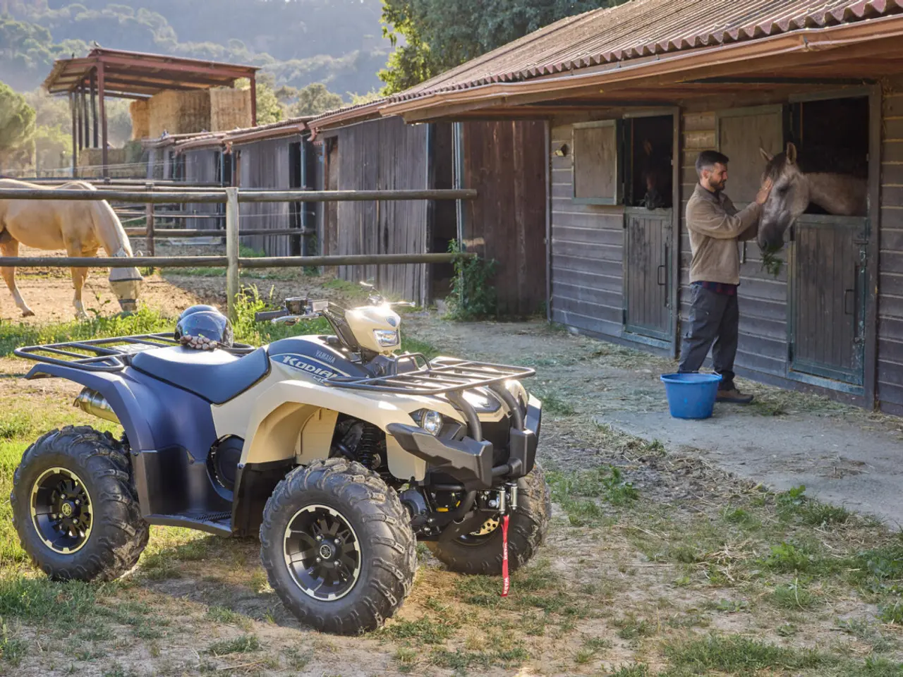 Billede 2 - Yamaha Kodiak 450 EPS SE Traktor