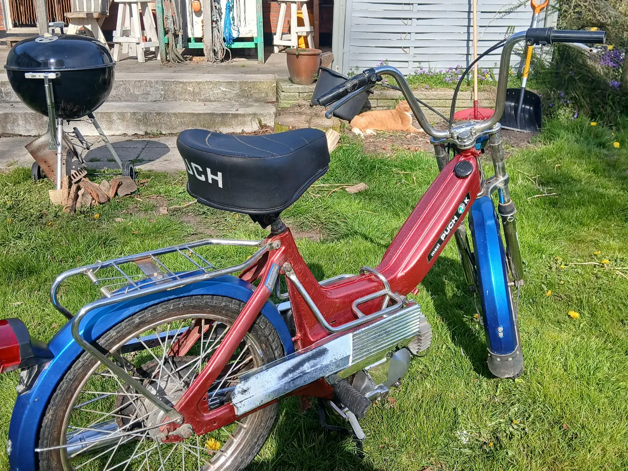Billede 5 - Puch Maxi K
