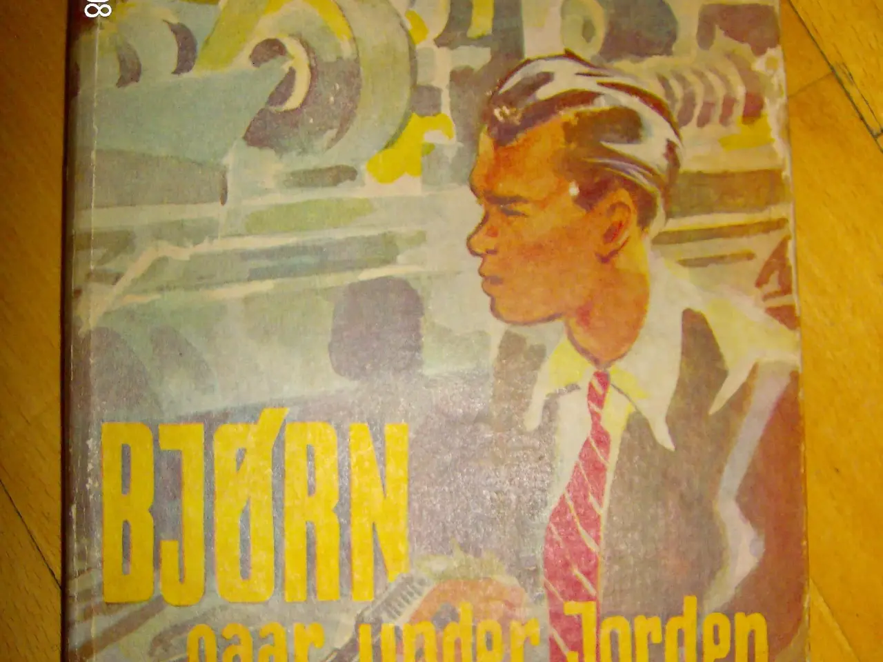 Billede 1 - Bjørn går under jorden