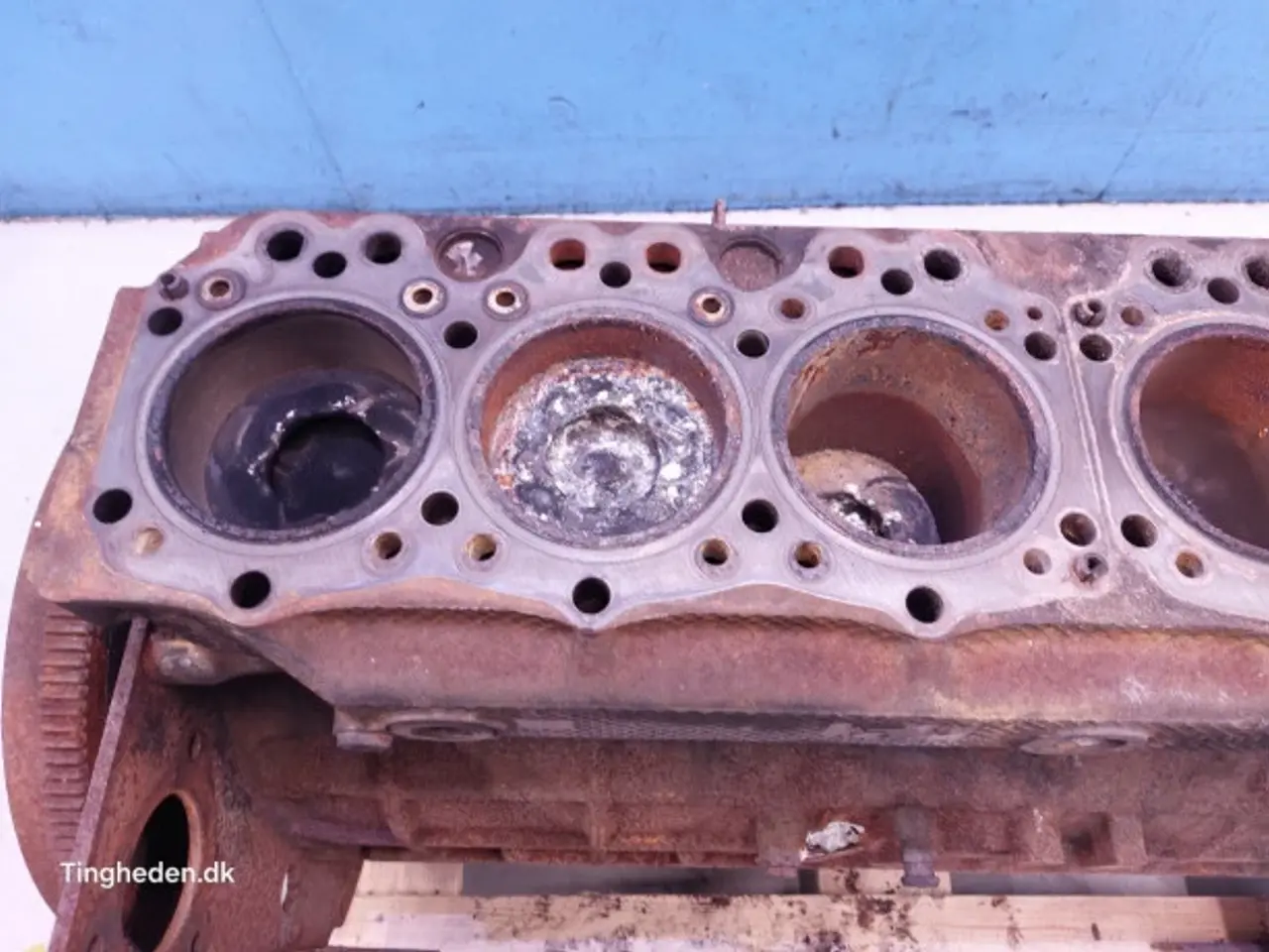 Billede 9 - Iveco 8460 SRI 10 Motor 61321549