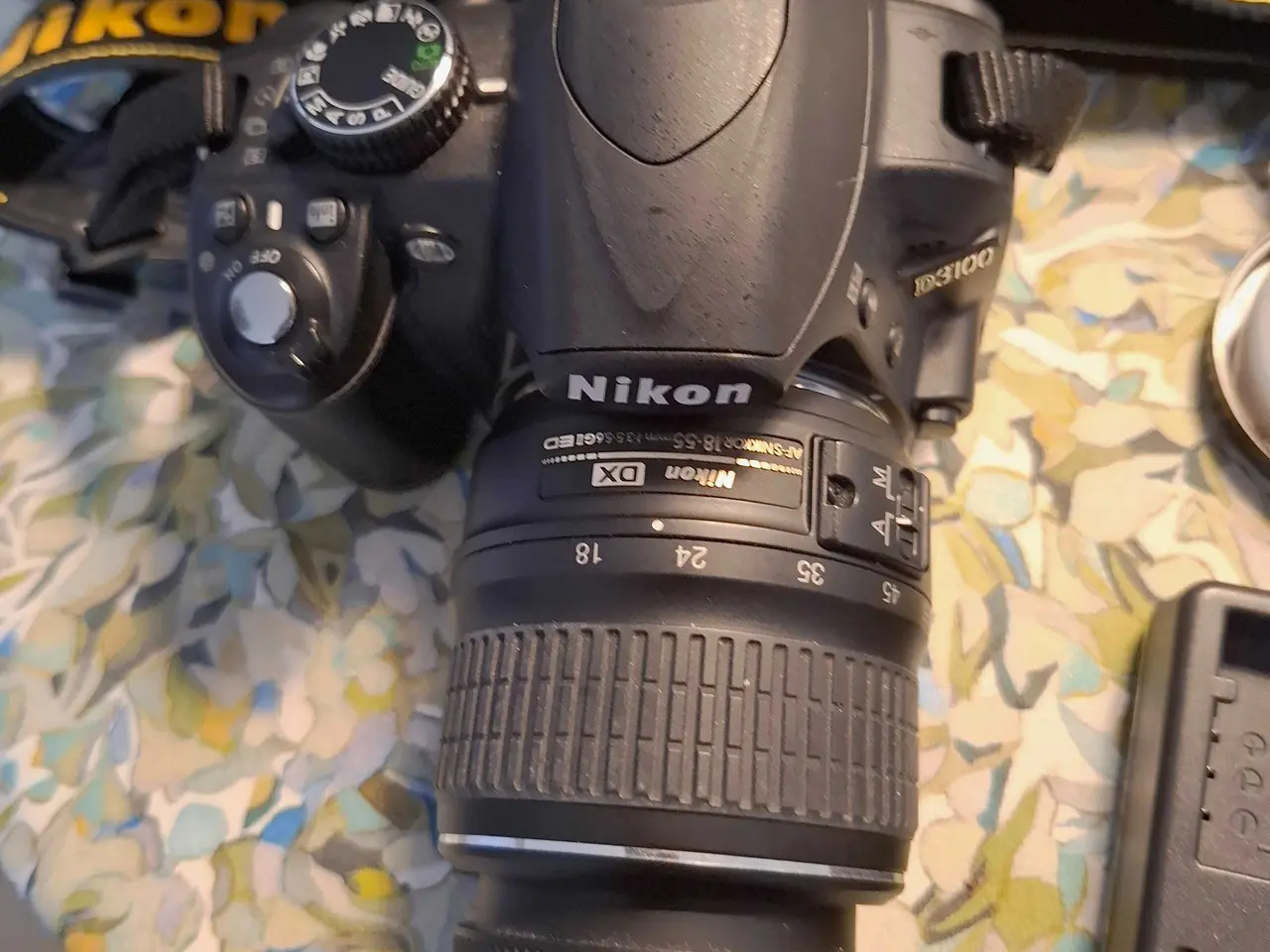 Billede 2 - Nikon D3100 