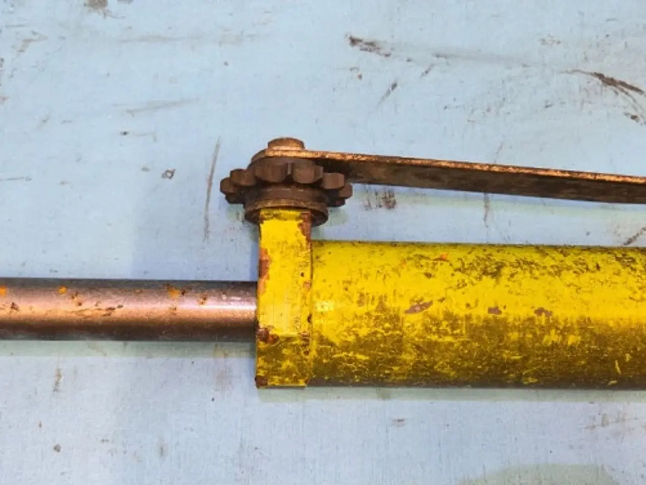Billede 6 - Claas Jaguar 850 Cylinder 9878592