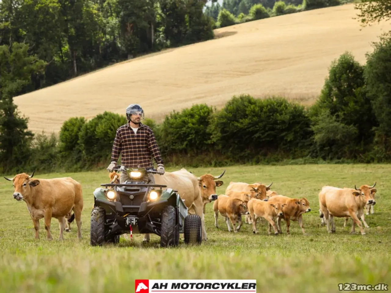 Billede 15 - Yamaha Kodiak 700 EPS STD