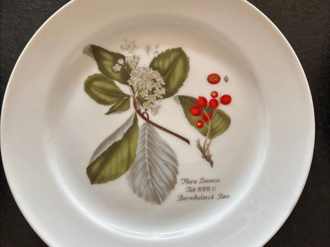 Billede 3 - Flora Danica/Faxe platter sælges