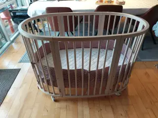 Babyseng i natur - Stokke