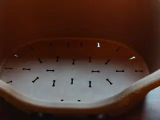 Hundekurv
