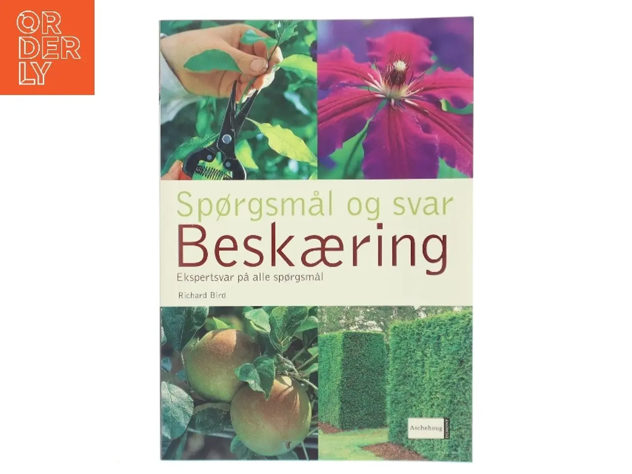 Billede 1 - Beskæring : ekspertsvar på alle spørgsmål af Richard Bird (Bog)