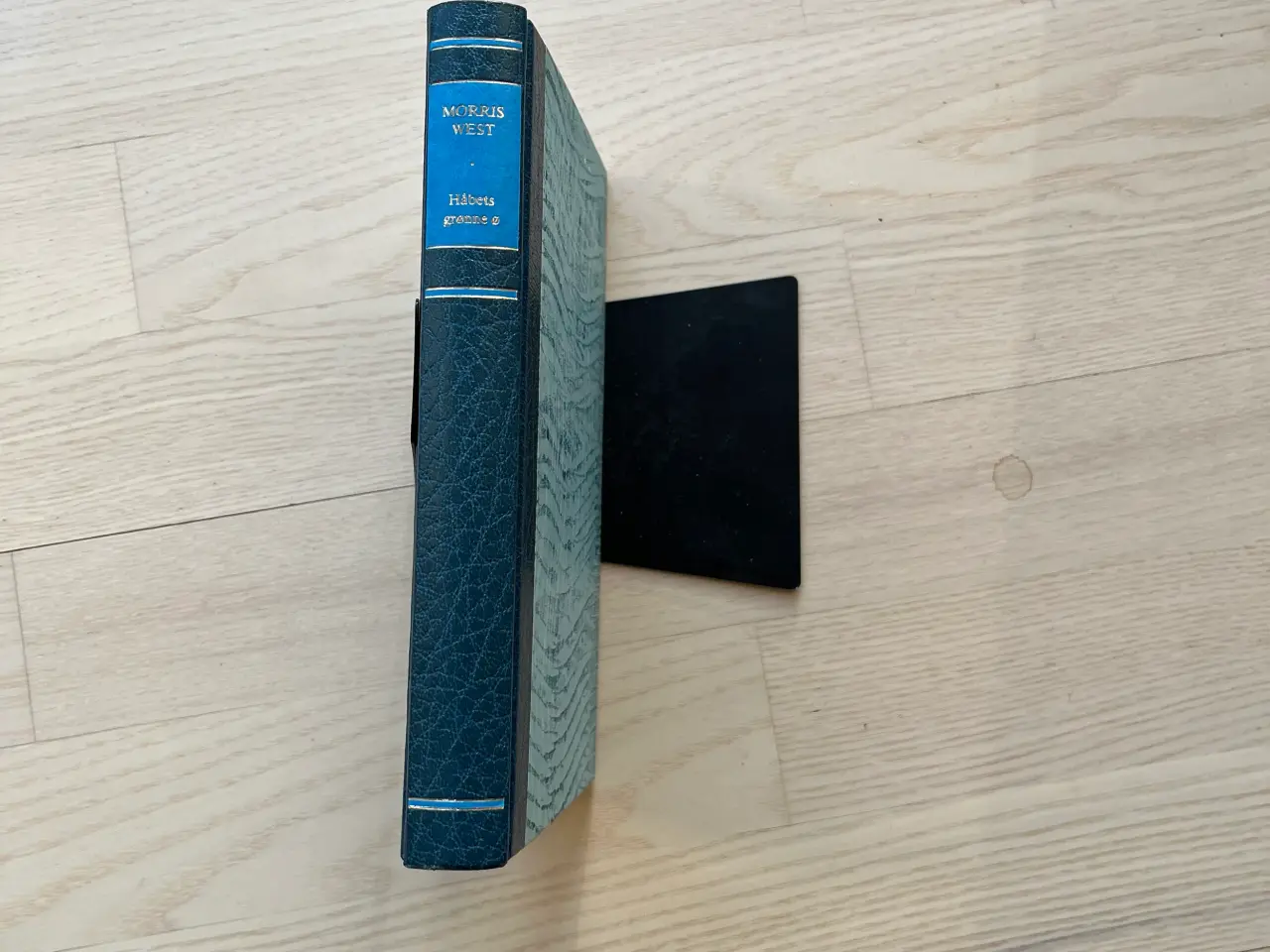 Billede 1 - Håbets grønne ø