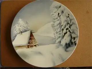 Villeroy & Boch platte 2428A
