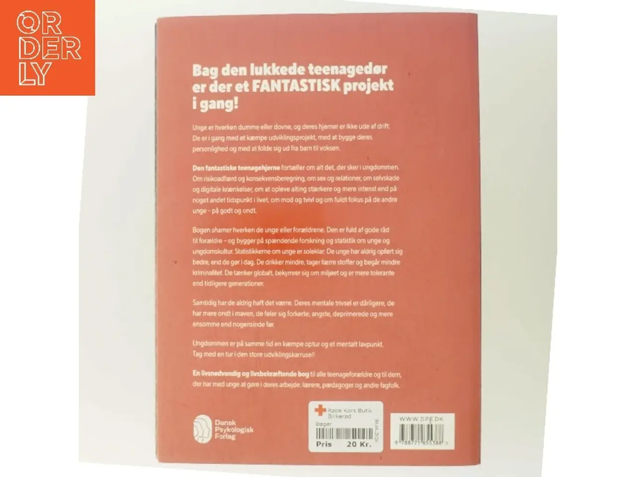 Billede 3 - Den fantastiske teenagehjerne af Per Frederiksen (f. 1986) (Bog)