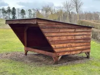 Shelter i lærketræ
