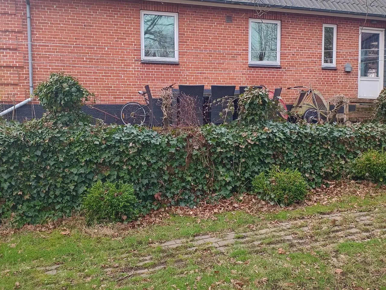 Billede 5 - Hus til leje