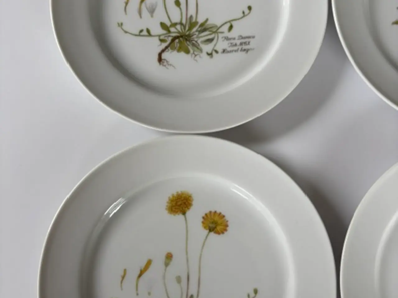 Billede 3 - 11 Flora Danica tallerkener med botaniske motiver