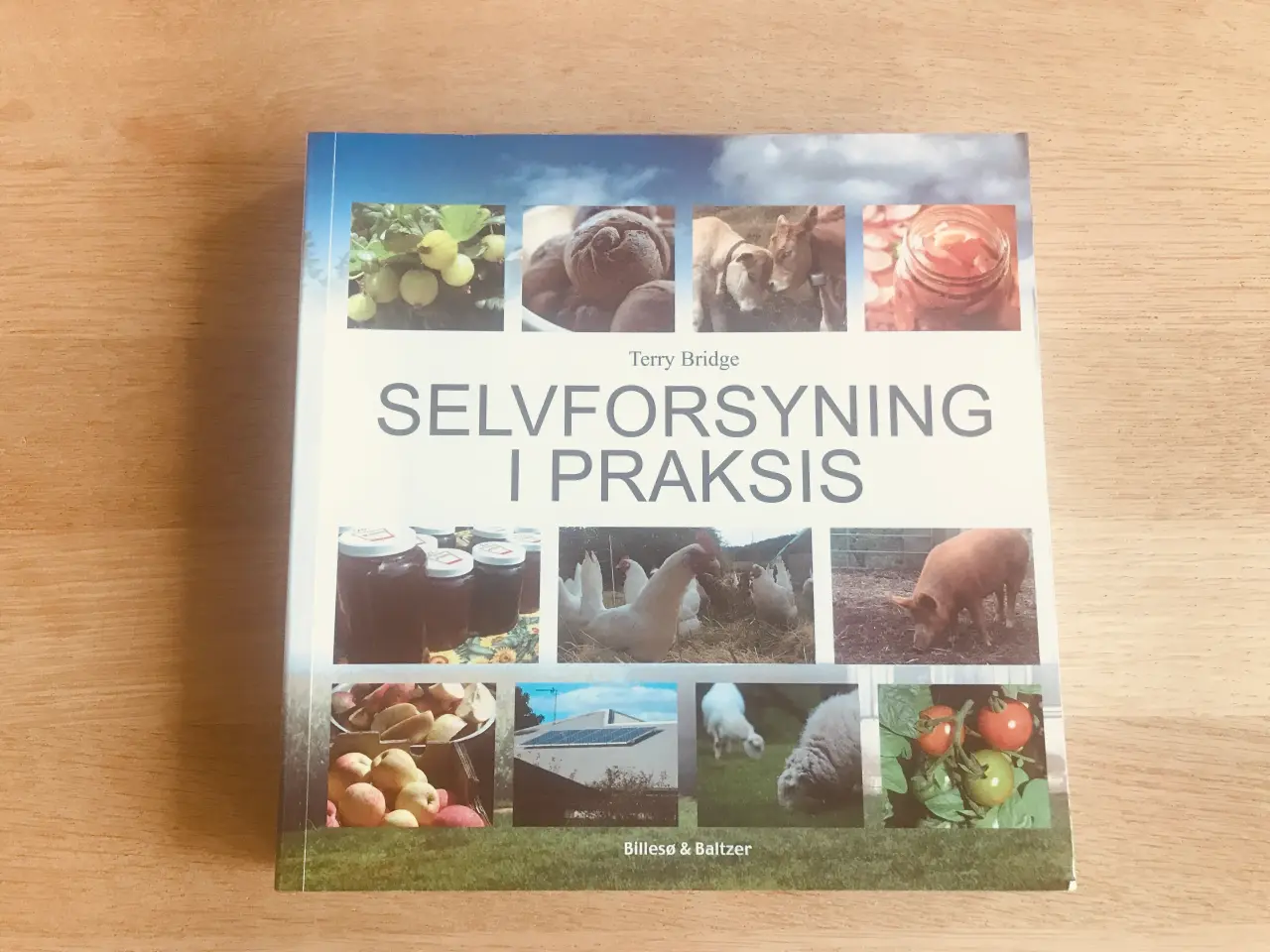 Billede 1 - Selvforsyning i Praksis
