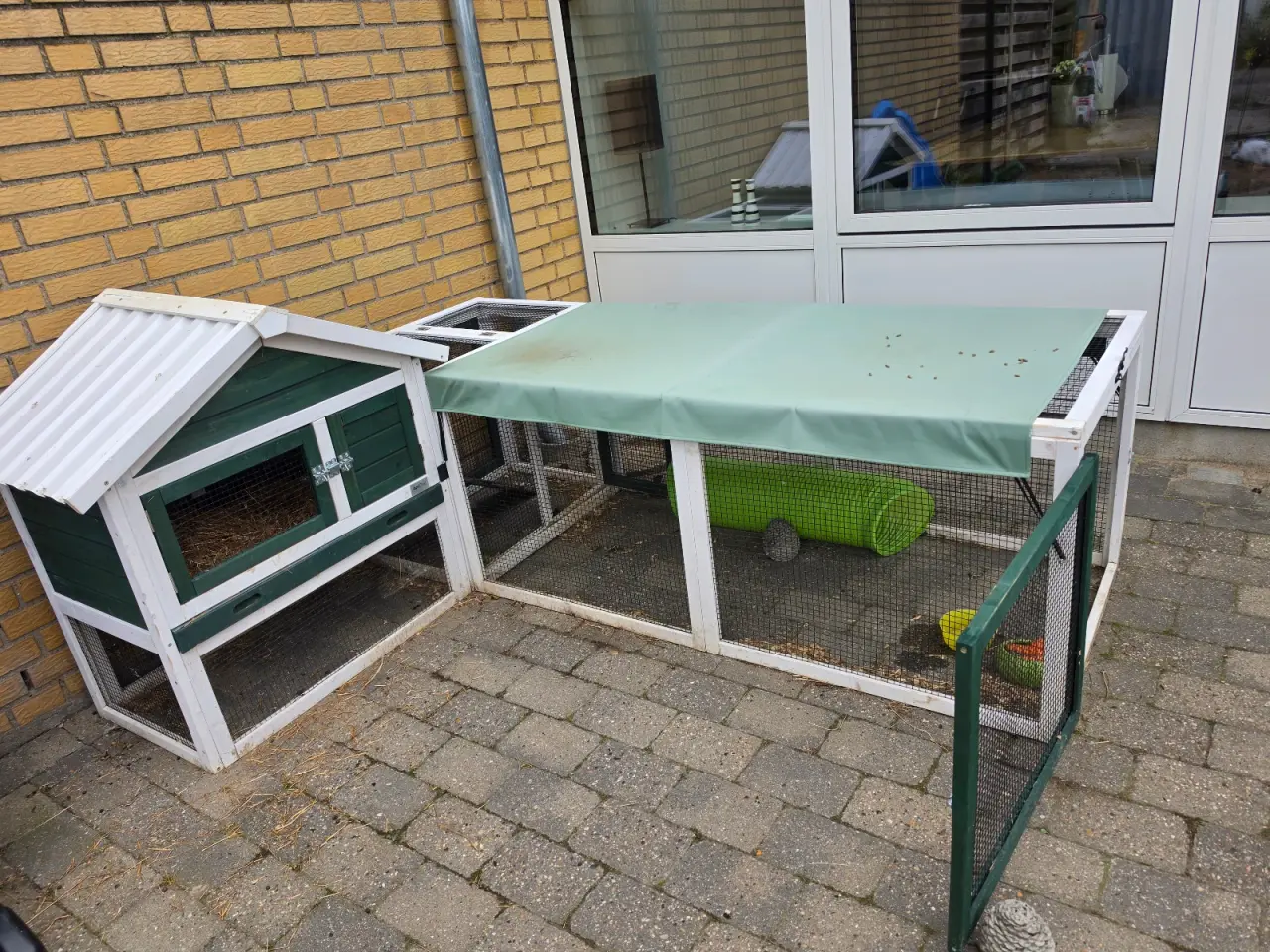 Billede 6 - Kanin løvhovede