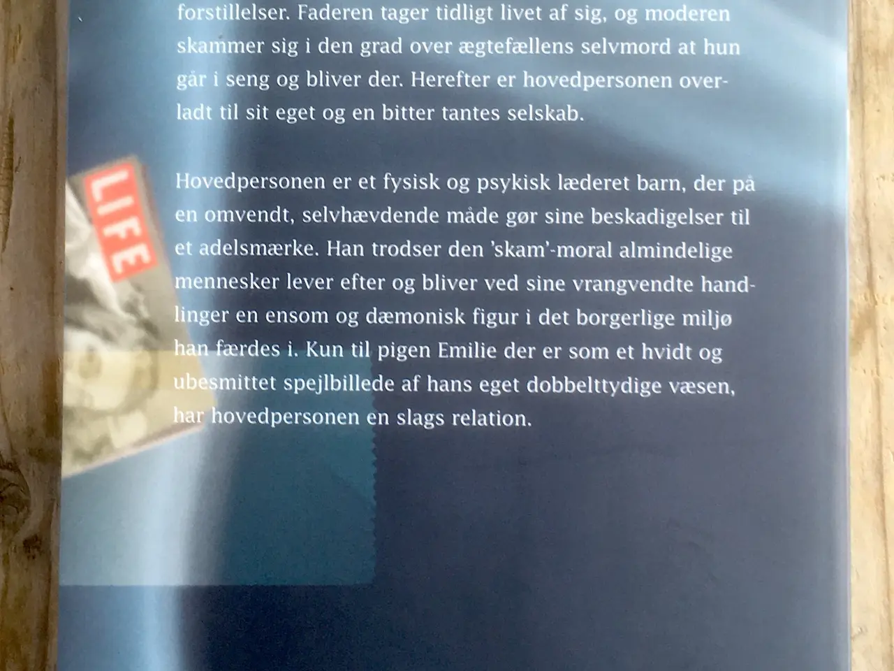 Billede 2 - Maskeblomstfamilien, Lars Saabye Christensen