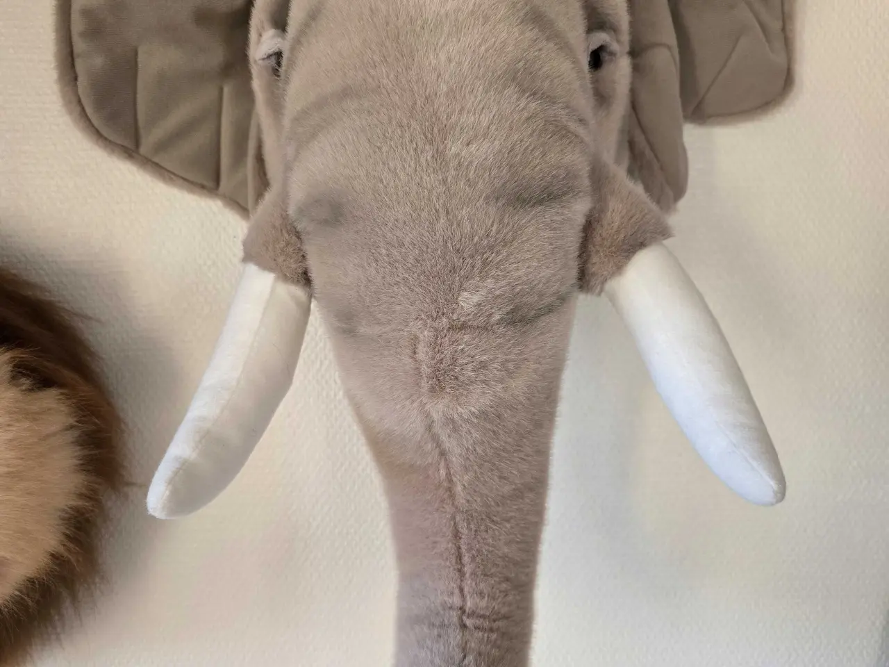 Billede 2 - Elefant og Løve trofæ