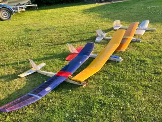 Svæveflyvere