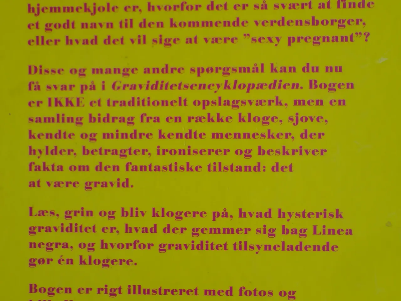 Billede 8 - G r a v i d  :