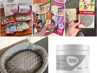 Pet care set