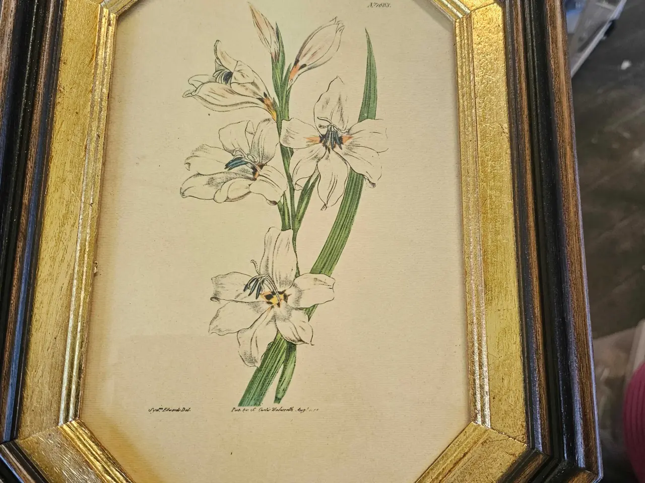Billede 4 - Tegnede blomster