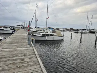 Luna 26 motorsejler