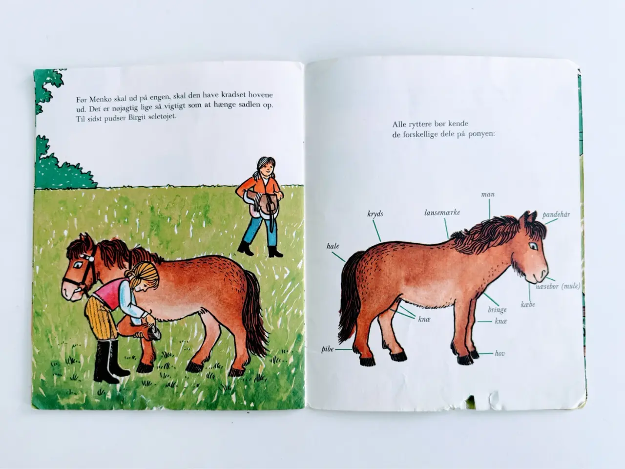 Billede 10 - Pony ABC børnebog (ælle-bælle) m. illustrationer
