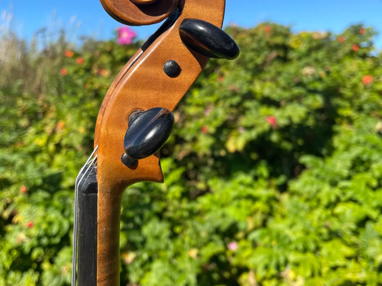 Billede 5 - Violin fra 1885