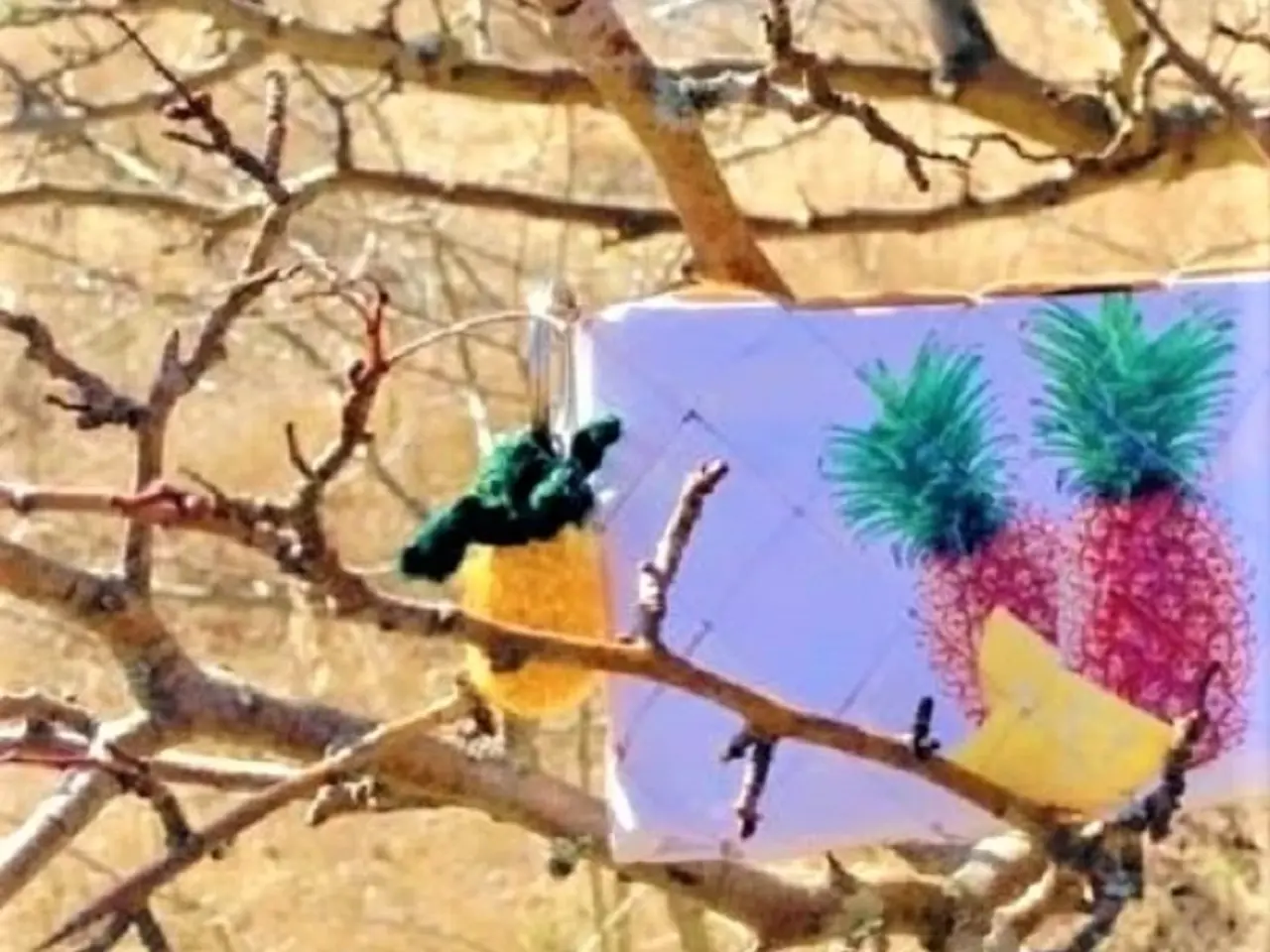 Billede 3 - OPSKRIFT PÅ ANANAS - miniananas - hækling