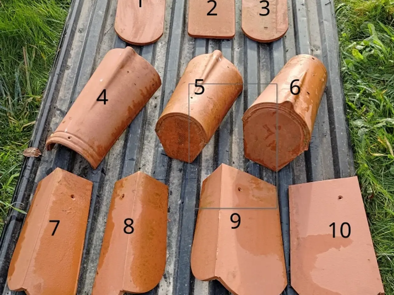 Billede 1 - Bæverhaletegl