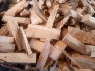 Brænde, Bøg