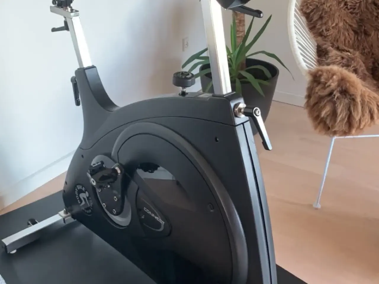 Billede 1 - BODY BIKE Connect