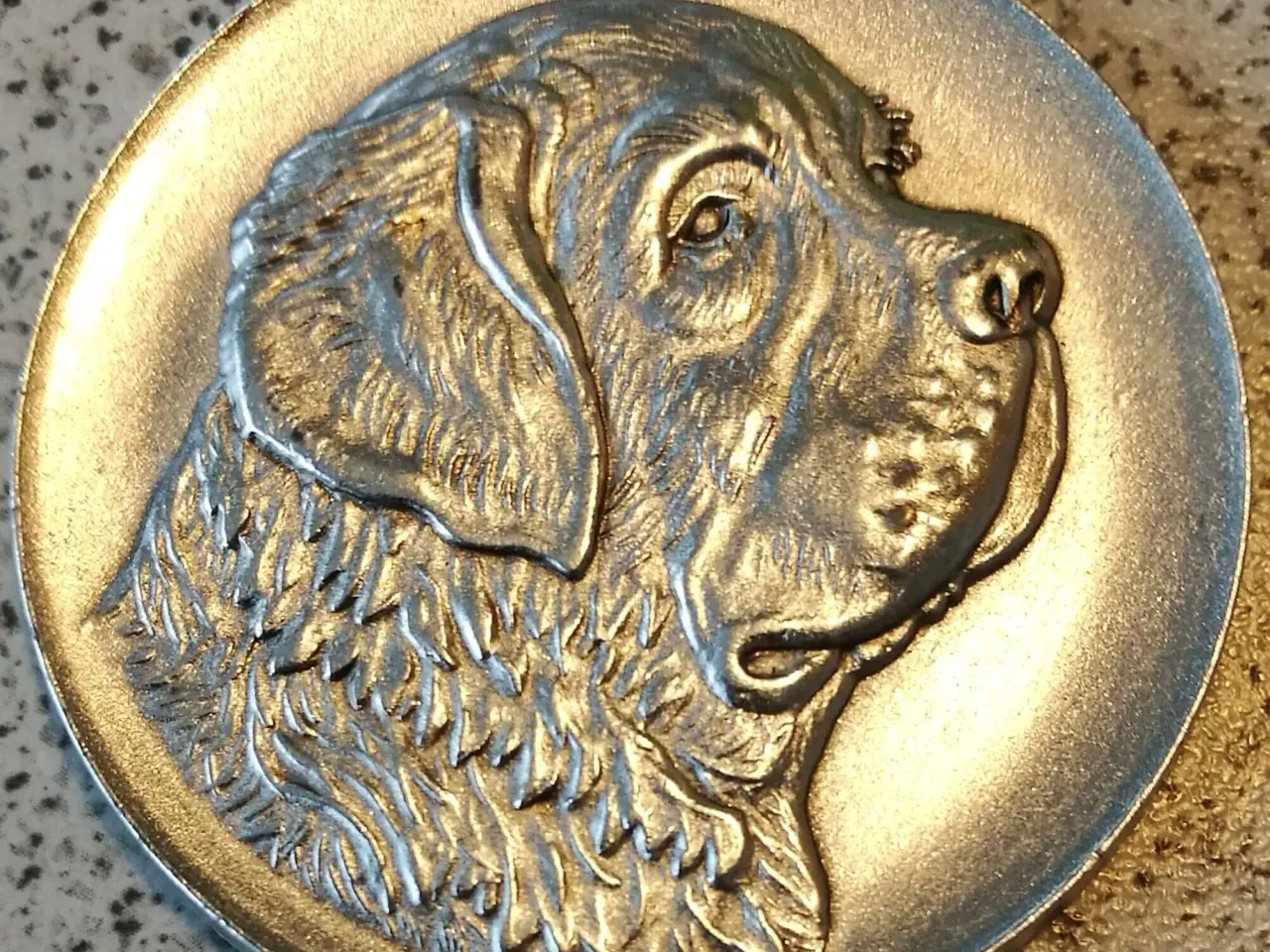 Billede 5 - Hunde medaljer.