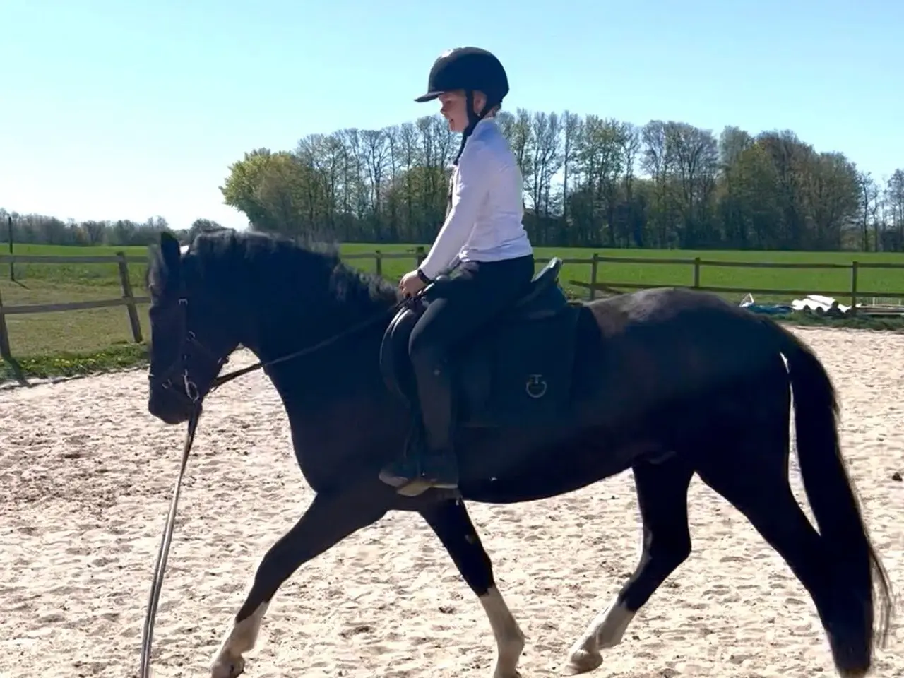 Billede 11 - Max kat 3,super børnepony