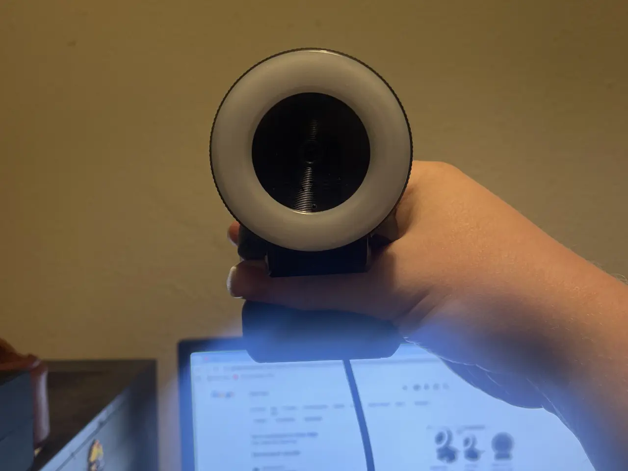 Billede 1 - Webcam
