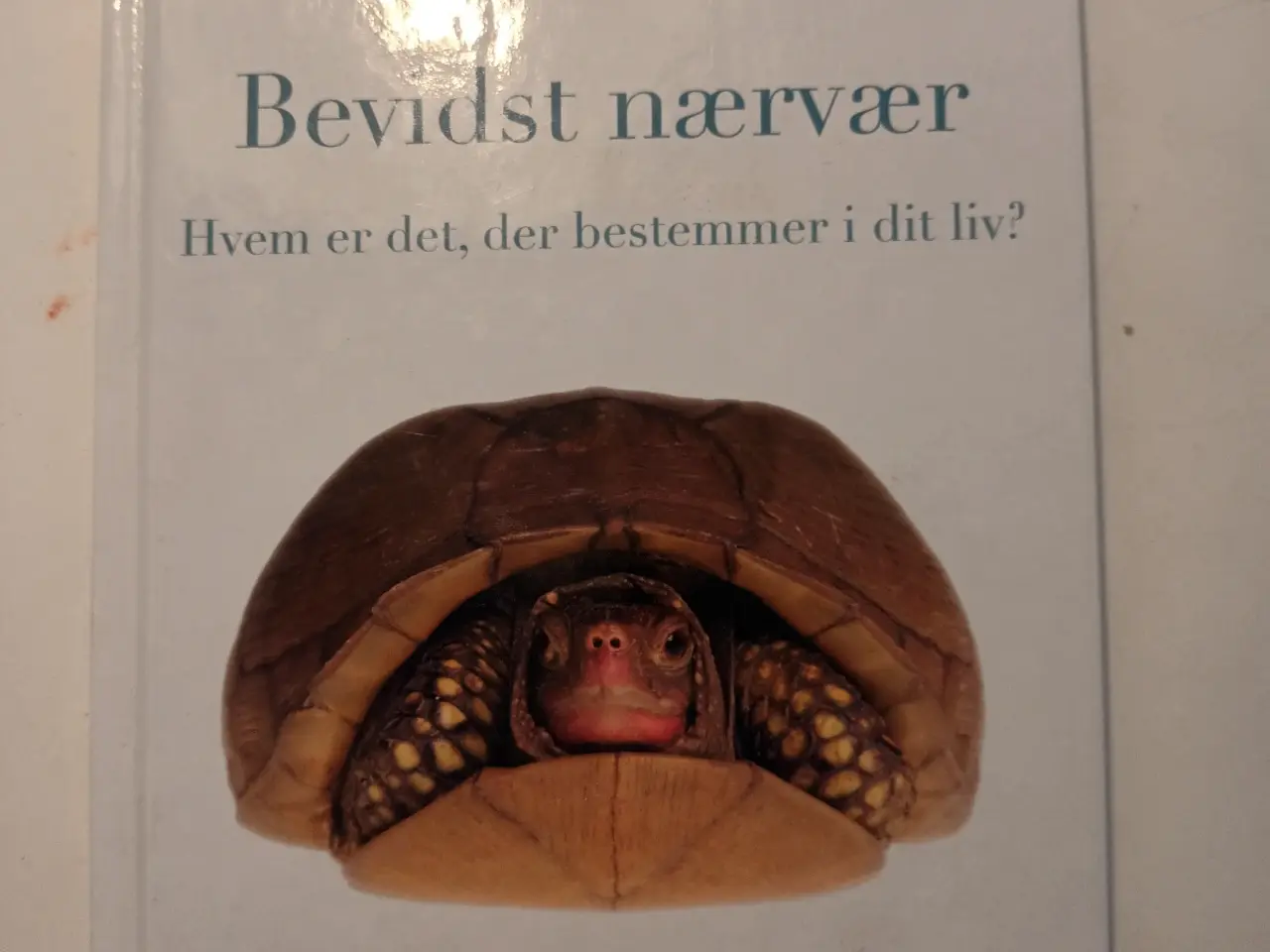 Billede 1 - Bevidst nærvær