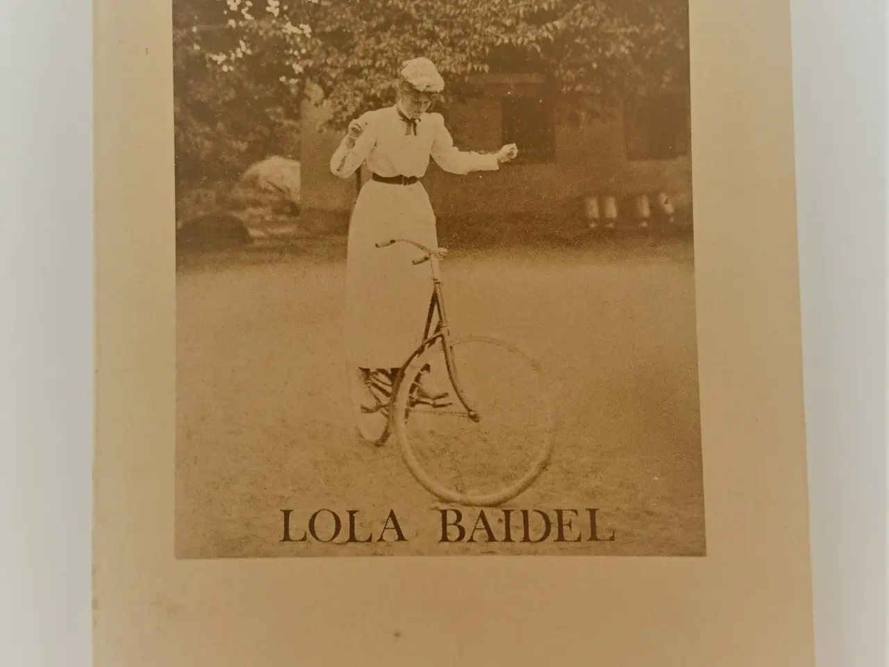 Billede 1 - En sagte raslen Af Lola Baidel