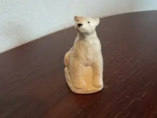 Isbjørn