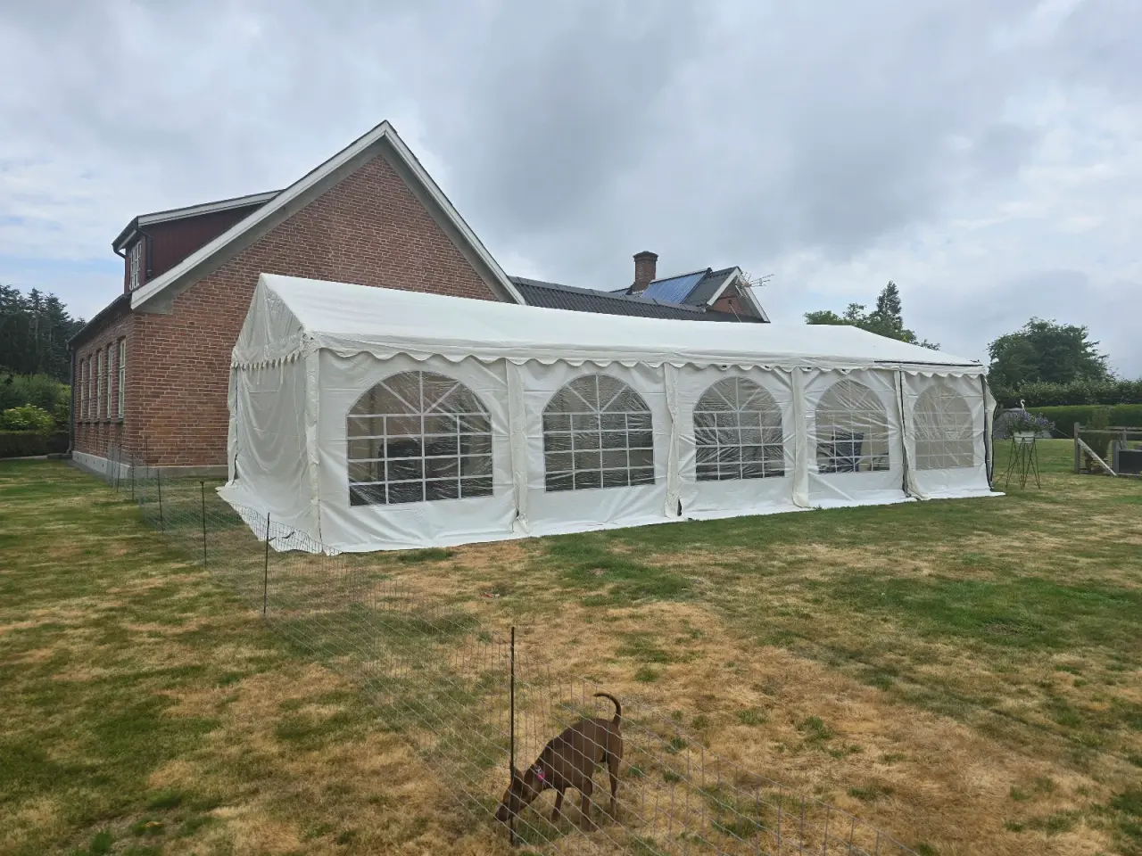 Billede 1 - Festtelte/ Pavillon  5*10 m